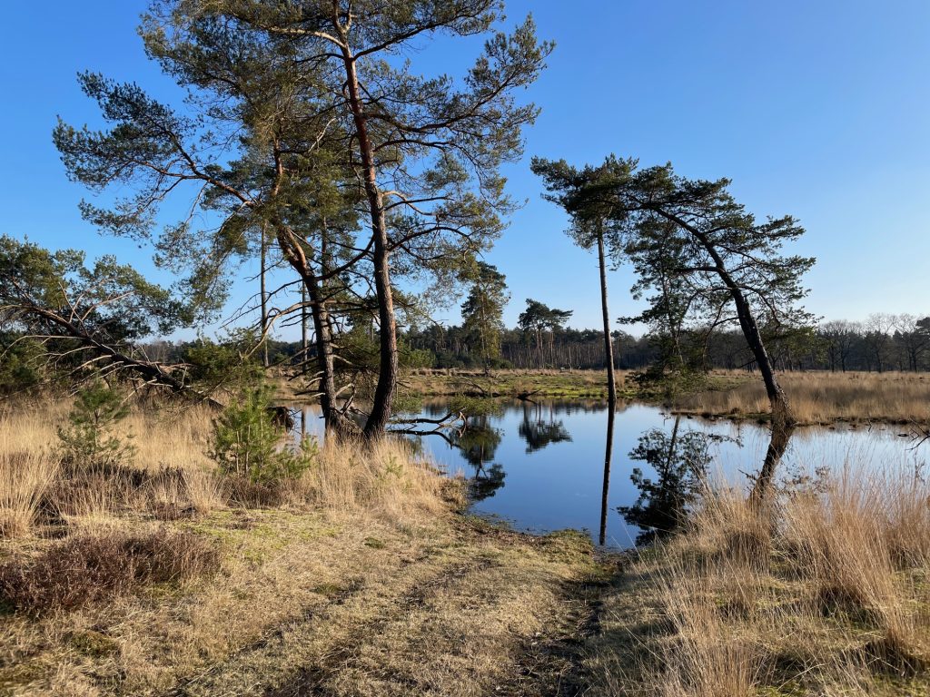 natuurwandeling natuurwandeling