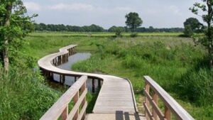 Natuurvrienden